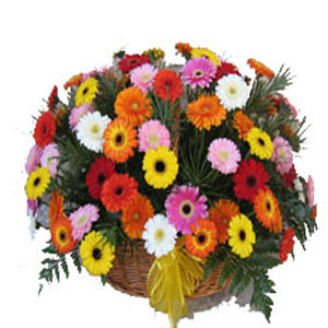 Online Flowers to Delhi