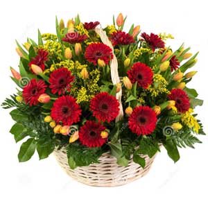 Birthday Flowers to Chennai